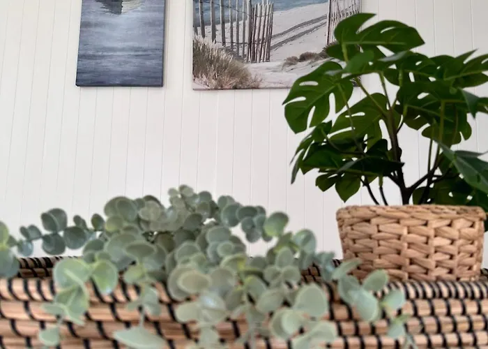 Apartment Qudi's Tiny House