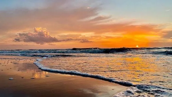 Apartment Qudi's Tiny House Noordwijk